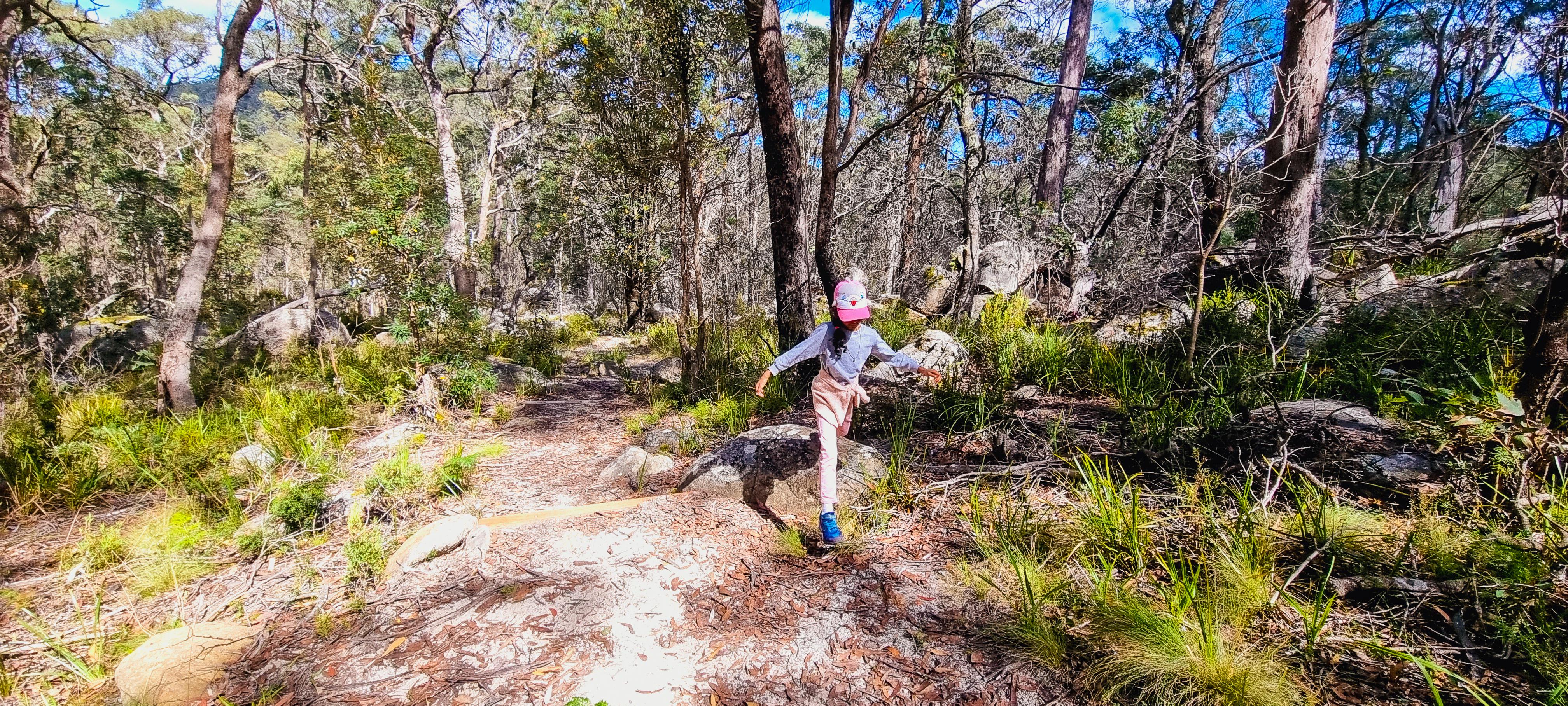 Cathedral Rock Track - Grade 4 Walk